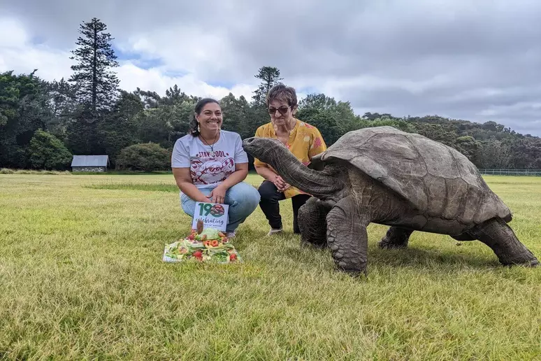 Tartaruga Jonathan, a mais velha do mundo, completando 200 anos