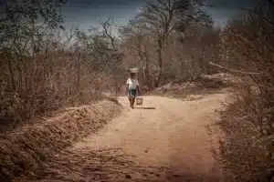 Solo seco no sertão nordestino, refletindo a pior seca em décadas